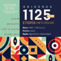 Etiopia gure dako cafe de especialidad chile